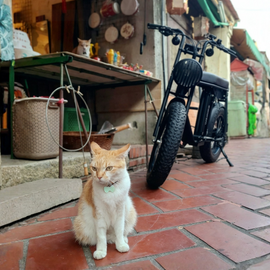 大稻埕迪化街騎樓街景,橘貓與停在老雜貨店前的 Unimoke 電輔車,Life Pass 特約店騎行路線