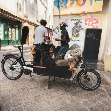 SEic｜台灣首波 Cargo Bike 生活型態調查