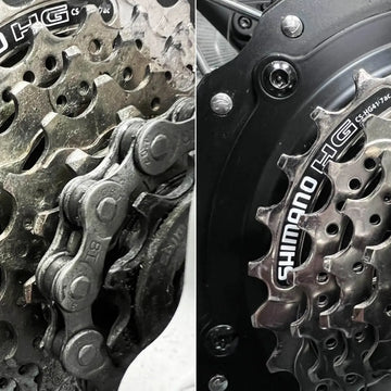 UD 飛輪與鏈條的近拍，齒片上印著 SHIMANO 字樣
