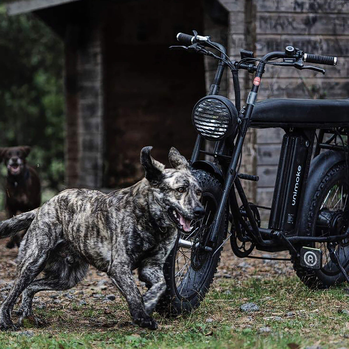 footer_the_story_imag9.jpg__PID:04df562b-d7be-4112-bd82-f15d16b5a20a