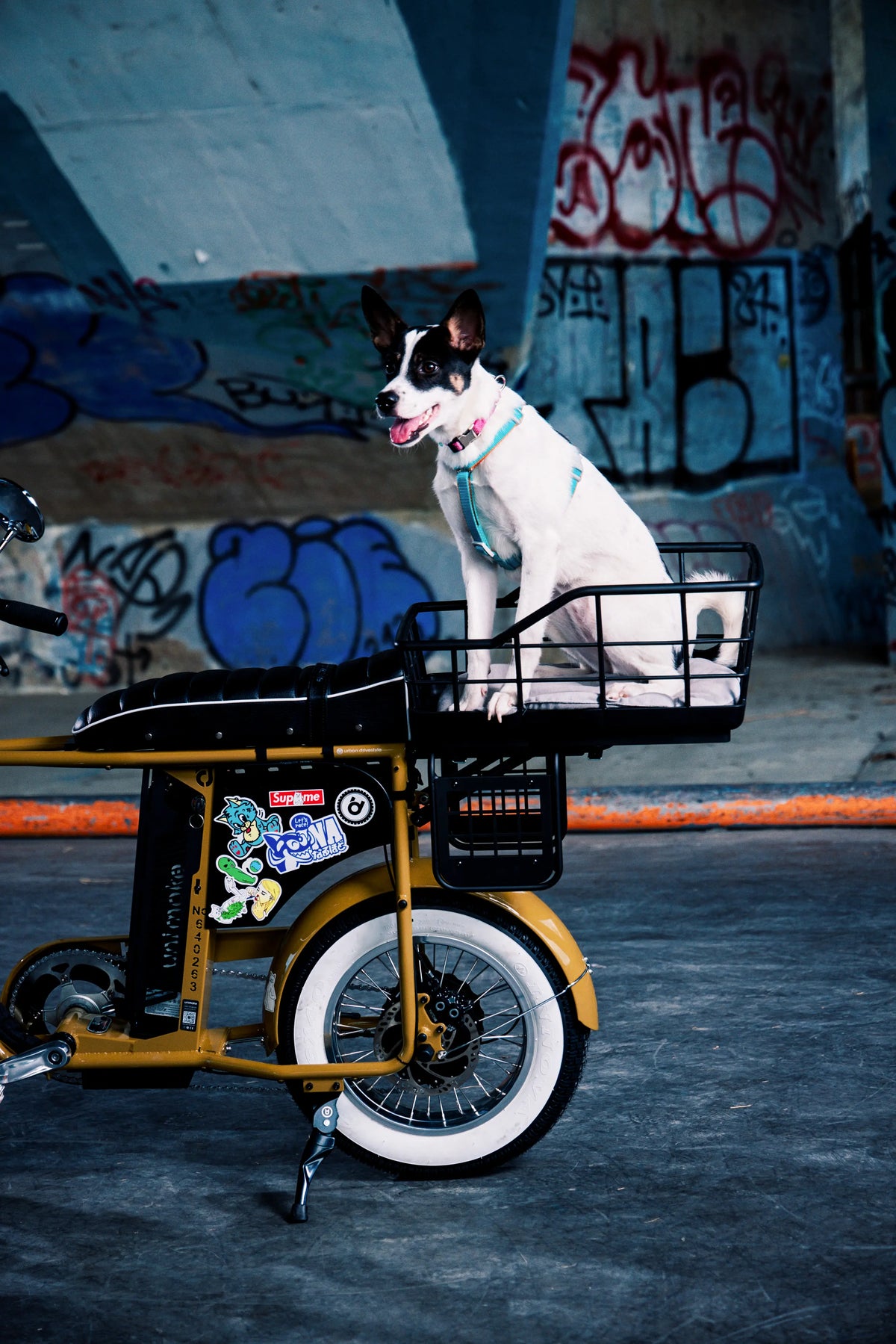 urbandrivestyle-Unimoke-minibike-teenager-lifestyle-11.webp__PID:3a374051-21be-4bb7-a2b0-95d105c037ee