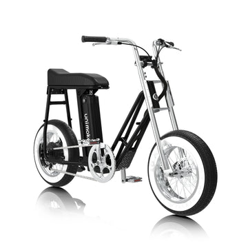 miniswing 珍珠黑以低跨點設計結合 16 吋小輪徑與 4.0 胖胎，讓上下車更安全便